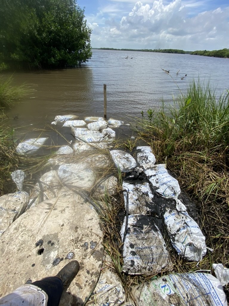 1E8CB1D2 BF94 412D ACA1 177DD771508A 1 105 c