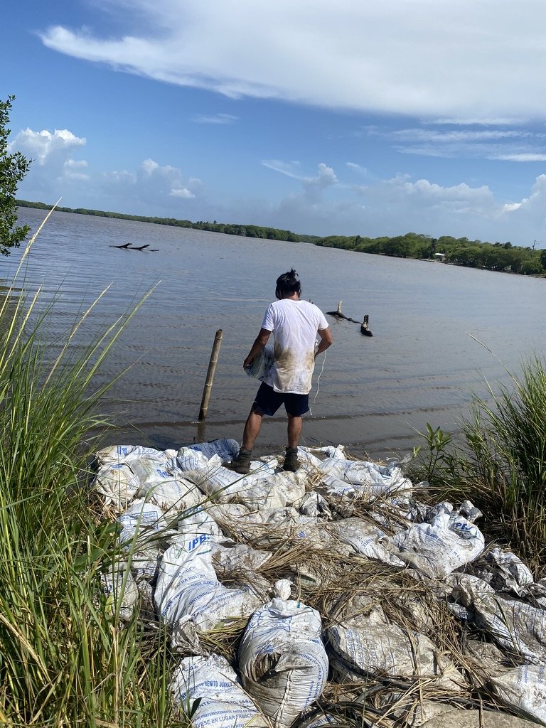 B3CC8388 1DD8 4DB0 9A11 5BD1D6B61E69 1 105 c