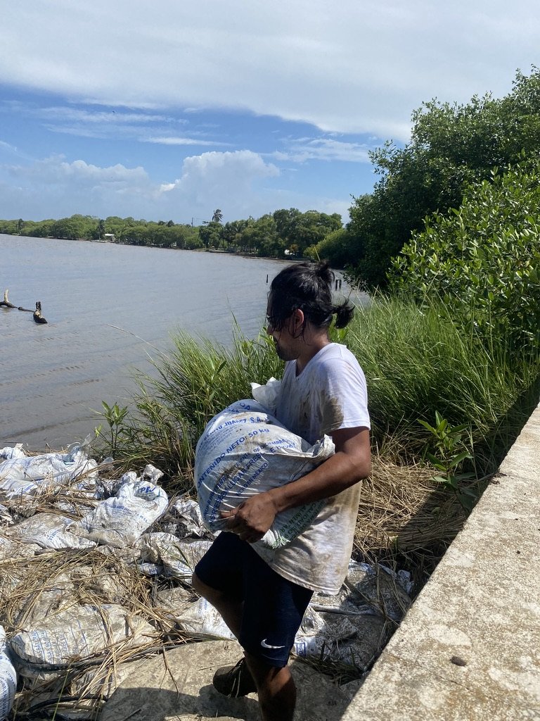 1A5B879A B875 466B 8417 C4D794841E05 1 105 c