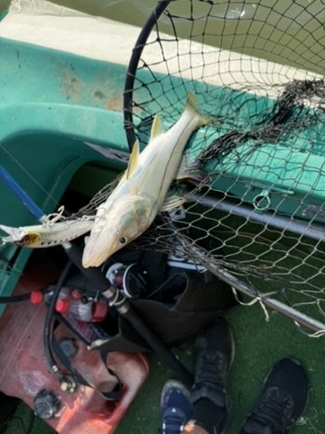 2E8C3E29 5645 4C8F 9C84 C383D853BB4D 4 5005 c