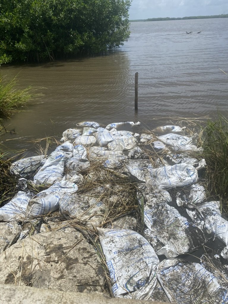 8E43A835 E35B 41FD 9868 8EDFBF597FFF 1 105 c