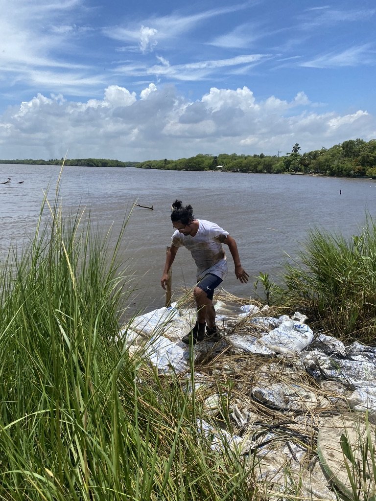 5412D21D 0132 4D29 B375 4D897688C0A8 1 105 c