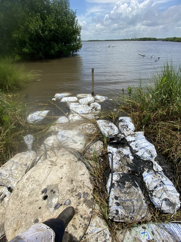 4E8F59F6 6017 468E 9787 604280BAD33E 1 105 c