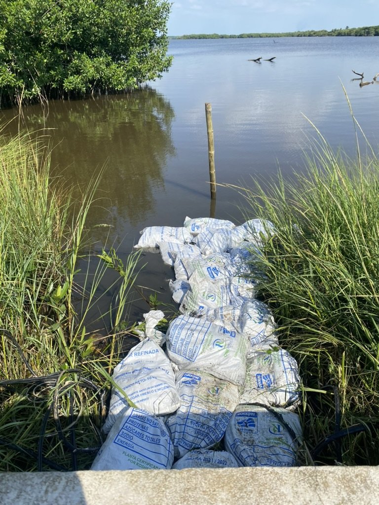 A7A30349 EBD4 43D4 8B04 5D48364C5A2E 1 105 c