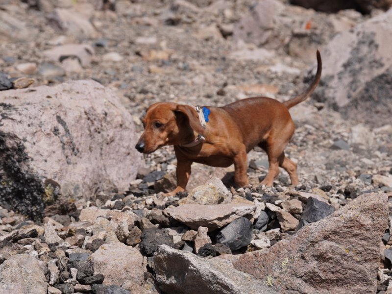 B23FE943 449A 4526 B9D9 18156B346A61 1 105 c