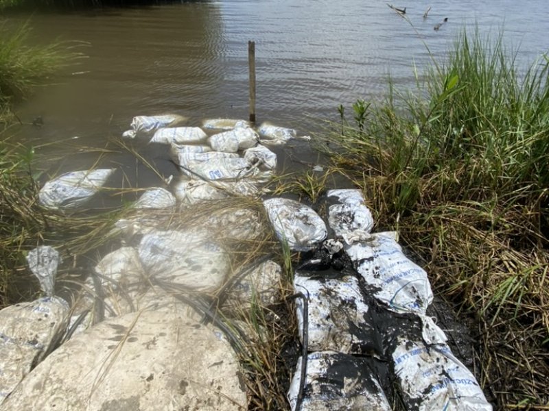 1E8CB1D2 BF94 412D ACA1 177DD771508A 1 105 c