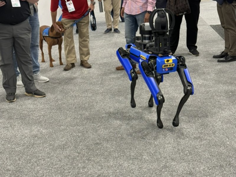 EE9D2C07 D98E 40A8 89B0 E3CDA2EFD9ED 1 105 c