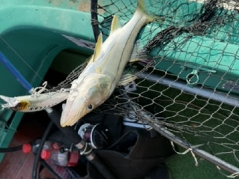 2E8C3E29 5645 4C8F 9C84 C383D853BB4D 4 5005 c