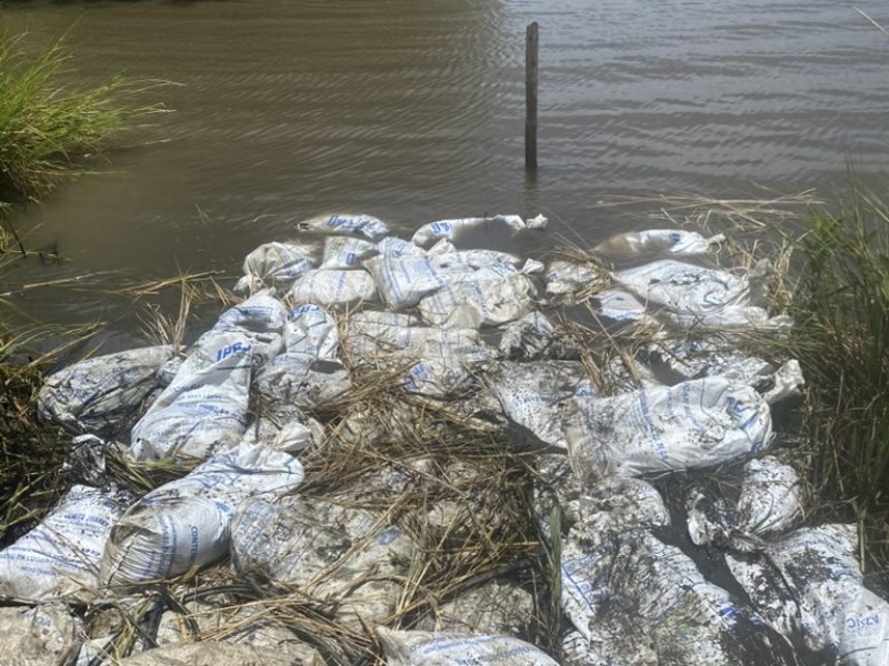 8E43A835 E35B 41FD 9868 8EDFBF597FFF 1 105 c