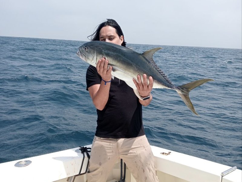 8CEAFE72 73E6 4B1E 8052 F826D9E4B672