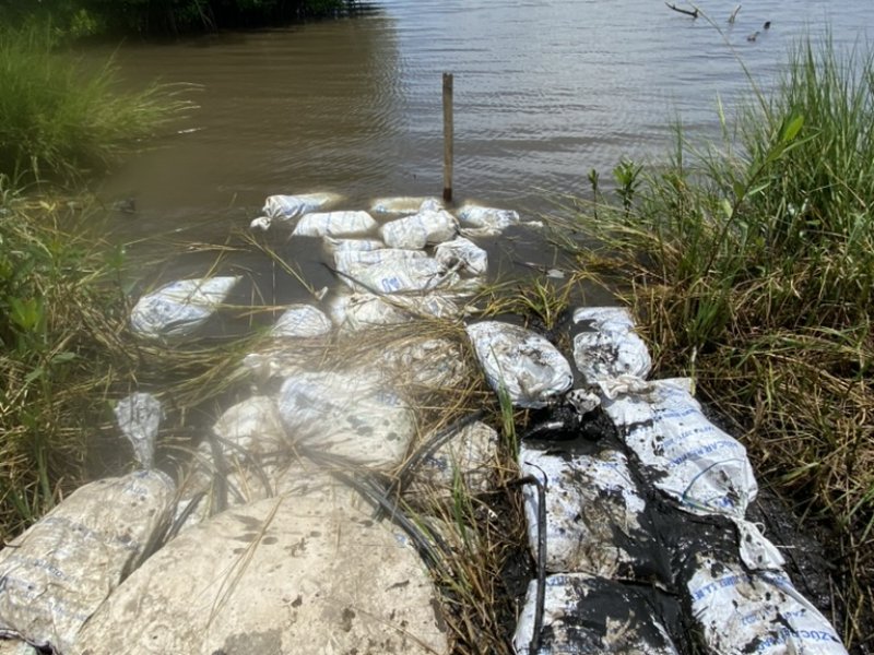 4E8F59F6 6017 468E 9787 604280BAD33E 1 105 c