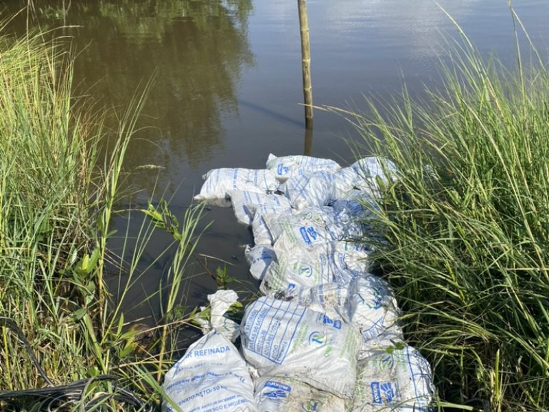 A7A30349 EBD4 43D4 8B04 5D48364C5A2E 1 105 c