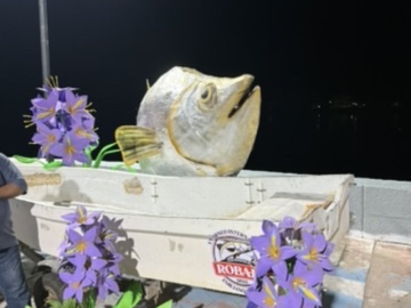 4424CBF0 8128 450A A7E3 21A5CCBA4C21 4 5005 c